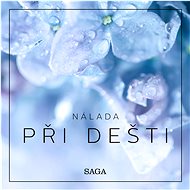 Nálada – Při dešti - Rasmus Broe