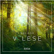 Nálada – V lese - Rasmus Broe