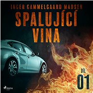Spalující vina - 1. díl - Inger Gammelgaard Madsen