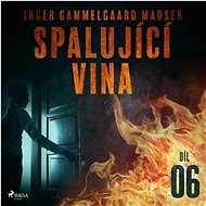 Spalující vina - 6. díl - Inger Gammelgaard Madsen
