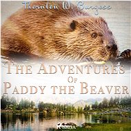 The Adventures of Paddy the Beaver - Thornton Waldo Burgess