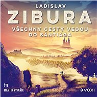 Všechny cesty vedou do Santiaga - Ladislav Zibura