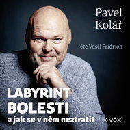 Labyrint bolesti - Pavel Kolář