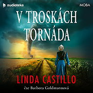 V troskách tornáda - Linda Castillo