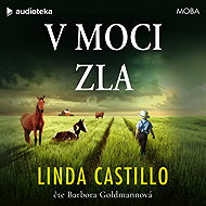 In the power of evil - Linda Castillo
