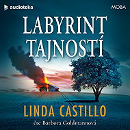 Labyrinth of secrets - Linda Castillo