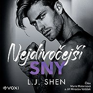 Nejdivočejší sny - L. J. Shen