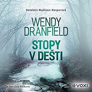 Footprints in the rain - Wendy Dranfield