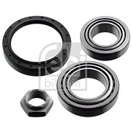 FEBI BILSTEIN Wheel bearing 19295 - Bearing
