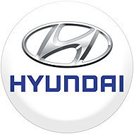 Panacea Resin stickers for Hyundai wheel centres - 4pcs - Wheel Center Cap Stickers