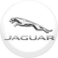 Panacea Jaguar resin wheel centre stickers - 4pcs - Wheel Center Cap Stickers