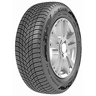 Otani WE1000 185/65 R15 88T - Winter tyre