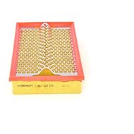 BOSCH Air filter 1 457 429 875 - Air Filter