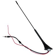 COMPASS Electronic antenna 12V - Antenna