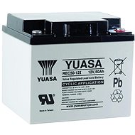Yuasa REC50-12I, 50Ah, 12V - Traction Battery