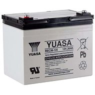 Yuasa REC36-12, 36Ah, 12V - Traction Battery