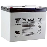 Yuasa REC80-12I, 80Ah, 12V - Traction Battery
