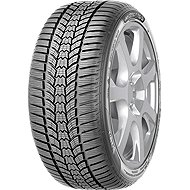 Sava Eskimo Hp 2 205/55 R17 95V Xl Winter - Winter tyre