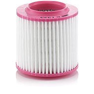 MANN-FILTER air filter C 1343 - Air Filter