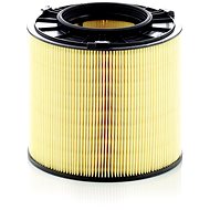 MANN-FILTER air filter C 17 013 - Air Filter