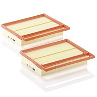 MANN-FILTER air filter C 25 110-2 - Air Filter