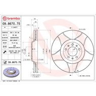 BREMBO brake disc 09.8670.75, set of 2 - Brake Disc