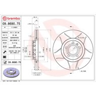 BREMBO brake disc 09.8690.75, set of 2 - Brake Disc