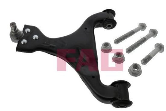 FAG Axle arm 821 0572 10 - Suspension Arm