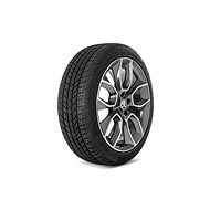 Skoda Complete winter wheel CRATER 19" for KAROQ (4x4) right - Complete Wheel