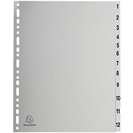 Exacompta A4 Exacompta PVC 1-12 Maxi - Divider
