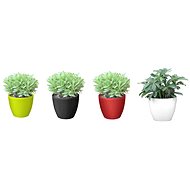 G21 Flower Ring mini 15cm - Flower Pot