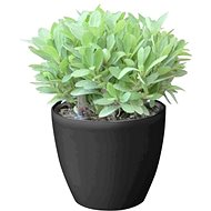 G21 Flower Ring mini black 15cm - Flower Pot