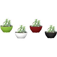 G21 Flower Ring Big 22cm - Flower Pot