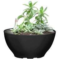 G21 Flower Ring Big black 22cm - Flower Pot