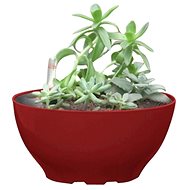 G21 Flower Ring Big red 22cm - Flower Pot