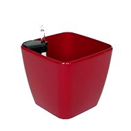 G21 Flower Cube mini red 13.5cm - Flower Pot