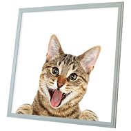 Ortus LED panel with cat motif, 60 × 60 cm - LED Panel