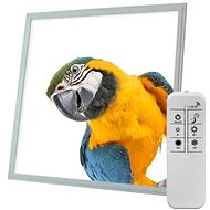 Ortus Dimmable LED panel with parrot motif, 60 × 60 cm, CCT, with remote control - LED Panel