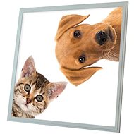 Ortus LED panel with cat and dog motif, 60 × 60 cm - LED Panel