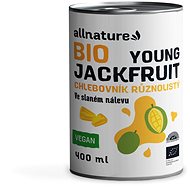Allnature Jackfruit BIO 400 ml - Dried Fruit