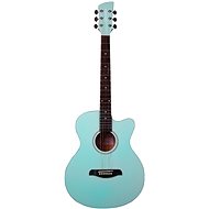 Brunswick GA BF100MGR - Acoustic Guitar