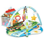 LIONELO IMKE with Balloons and Houses - Play Pad