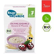 Freche Freunde Organic Porridge Plum and Banana 3× 200g - Milk Porridge