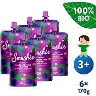 SALVEST Smushie Organic Fruit Smoothie with Blueberries, Yogurt and Quinoa 6× 170g - Baby Food