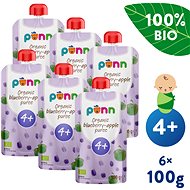 SALVEST Ponn Organic Apple with blueberries 6×100 g - Meal Pocket