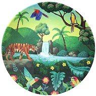 TOMMY LISE Plate Chasing Waterfall - Plate