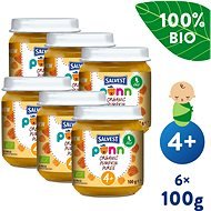 SALVEST Ponn ORGANIC Pumpkin Puree (6 × 100g) - Baby Food