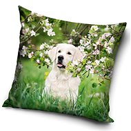 CARBOTEX pillowcase Rita 40×40 cm - Pillowcase