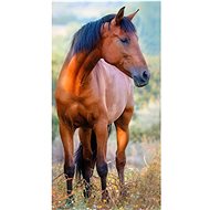 CARBOTEX Terry towel horse brown in the meadow 30×50 cm - Towel