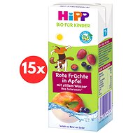 HiPP BIO soft apple and fruit with still spring water 15×200 ml, 12m+ - Drink